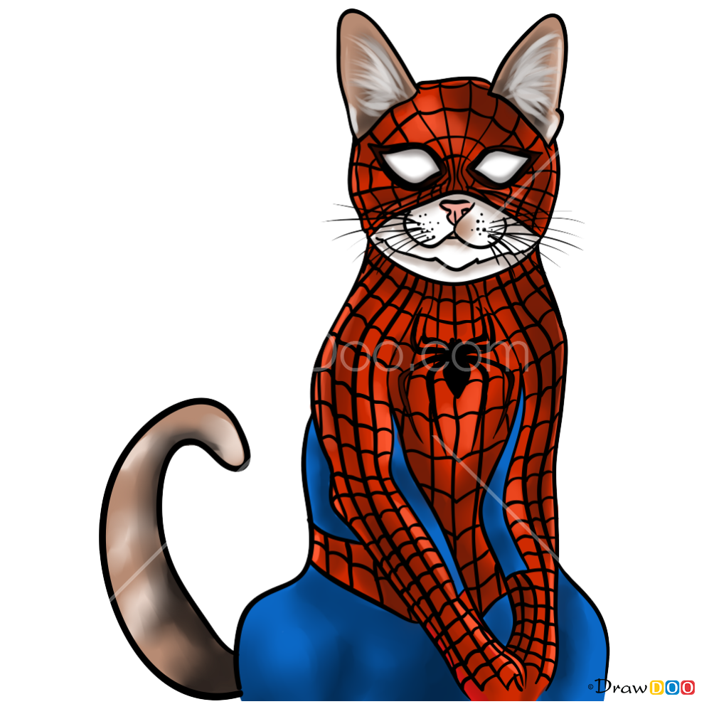 How to Draw Spider Cat, Cats Superheroes